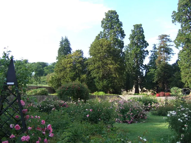 Ashton Court Estate, Bristol