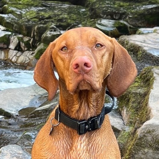 AAD75DE4-AB8B-4DC5-861E-AF1E43EC7E12